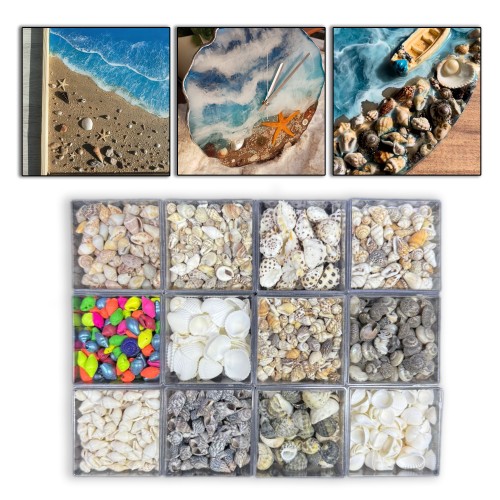 12 Farklı Minik Dekoratif Doğal Deniz Kabuğu Seti