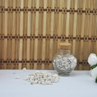 Nassa Shell Yerli Boyanmiş Kiloluk Deniz Kabuğu (1 KG