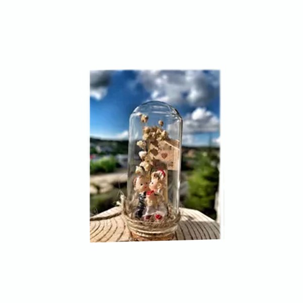 Cam Şişe Mantar Tıpalı Deney Tüpü Mini Fanus Model 25CC (25 Adet)