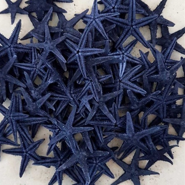 Tahtakale Toptancı Naturel Deniz Yıldızı Minik Boy 0.5 Cm -1.5 Cm (100 Adet)  Mavi