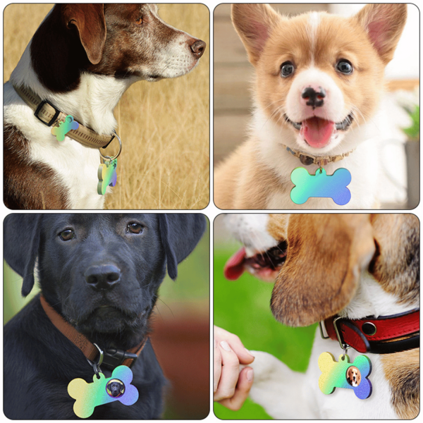 Tahtakale Toptancı Epoksi Silikon Kalıp Kemik Kedi ve Köpek Çoklu Tasma İsimlik Kalıbı