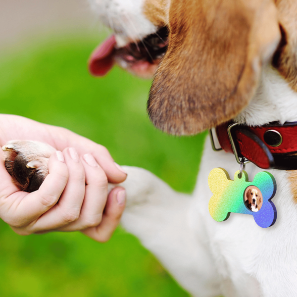 Tahtakale Toptancı Epoksi Silikon Kalıp Kemik Kedi ve Köpek Çoklu Tasma İsimlik Kalıbı