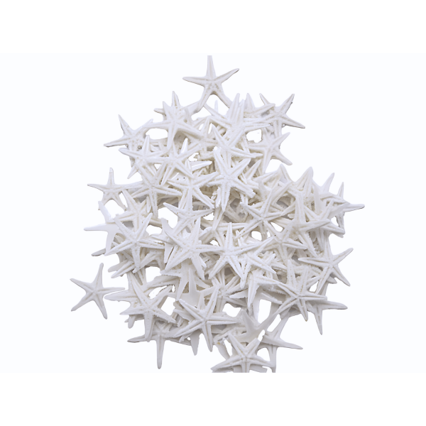 Tahtakale Toptancı Polyester Deniz Yıldızı Minik Boy  0.5 CM- 1.5 CM (100 Adet)  Beyaz