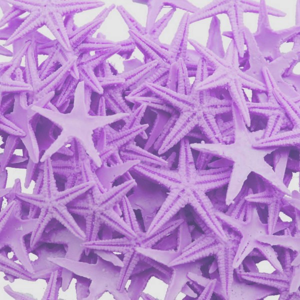 Tahtakale Toptancı Polyester Deniz Yıldızı Minik Boy  0.5 CM- 1.5 CM (100 Adet)  Mor