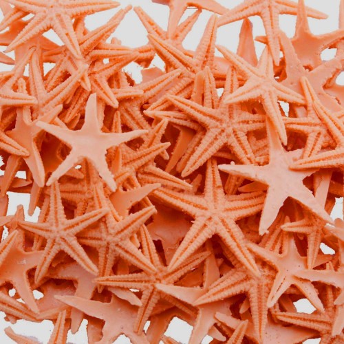 Polyester Deniz Yıldızı Minik Boy  0.5 CM- 1.5 CM (100 Adet)  Turuncu