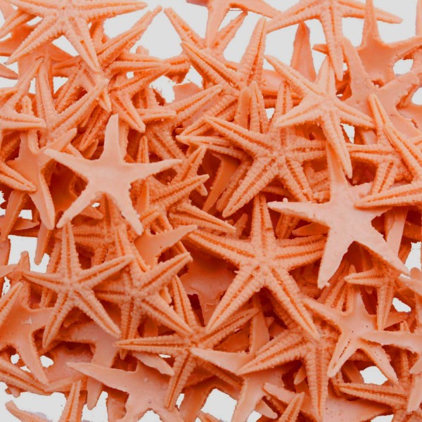 Tahtakale Toptancı Polyester Deniz Yıldızı Minik Boy  0.5 CM- 1.5 CM (100 Adet)  Turuncu