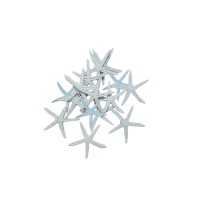 Tahtakale Toptancı Polyester Deniz Yıldızı Simli  Beyaz  6 CM  (12 Adet)