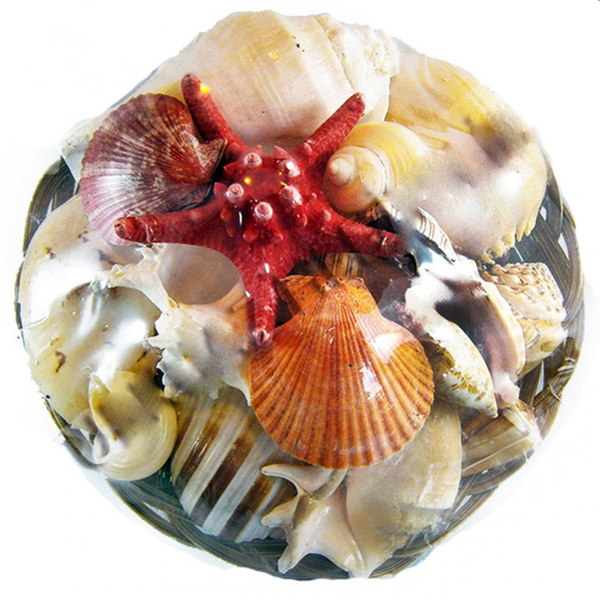 Tahtakale Toptancı Fruit Of The Sea 12 İnç Tahtakale Toptancı Fruit Of The Sea 12 İnç