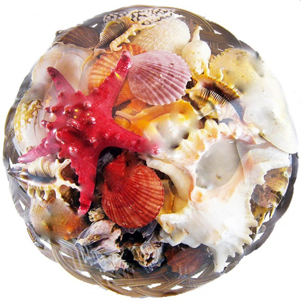 Tahtakale Toptancı Fruit Of The Sea 35 CM