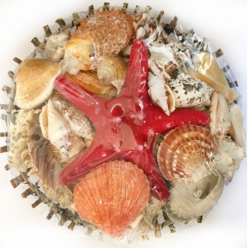 Sepet Kabuk 25 CM Ağaç Dalı Yuvarlak