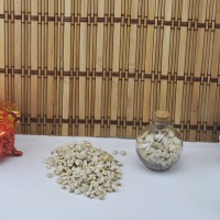 Tahtakale Toptancı Umbinium Beyaz Kiloluk Deniz Kabuğu (1 KG)