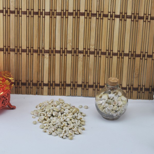 Tahtakale Toptancı Umbinium Beyaz Kiloluk Deniz Kabuğu (1 KG)