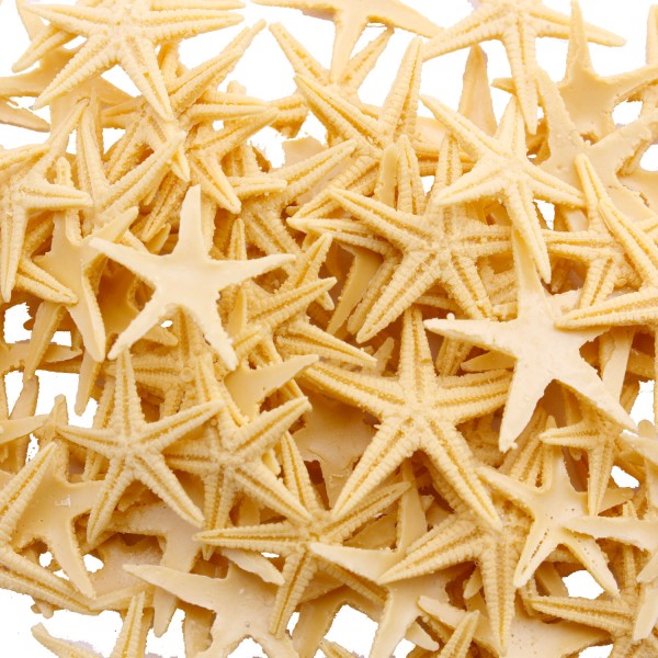 Tahtakale Toptancı Polyester Deniz Yıldızı Minik Boy  0.5 CM- 1.5 CM (100 Adet)  Natural