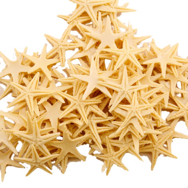 Tahtakale Toptancı Polyester Deniz Yıldızı Minik Boy  1.5 Cm -3 Cm (100 Adet)  Natural