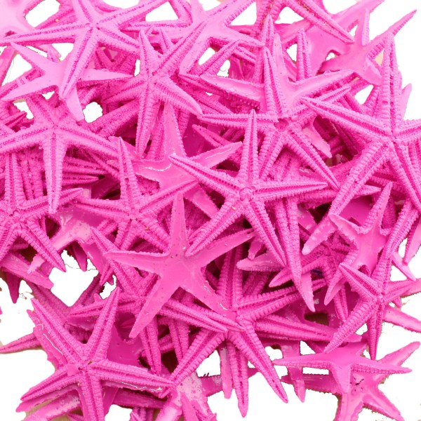 Tahtakale Toptancı Polyester Deniz Yıldızı Minik Boy  1.5 Cm -3 Cm (100 Adet)  Pembe