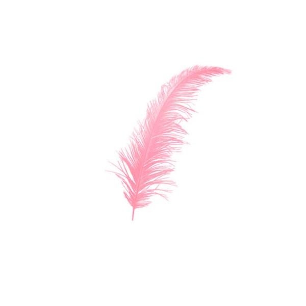Tahtakale Toptancı Renkli Tüy (100 Adet)  Pembe