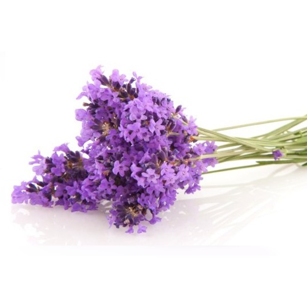 Tahtakale Toptancı Sabun Esansı  Lavanta Kokulu 15 Cc