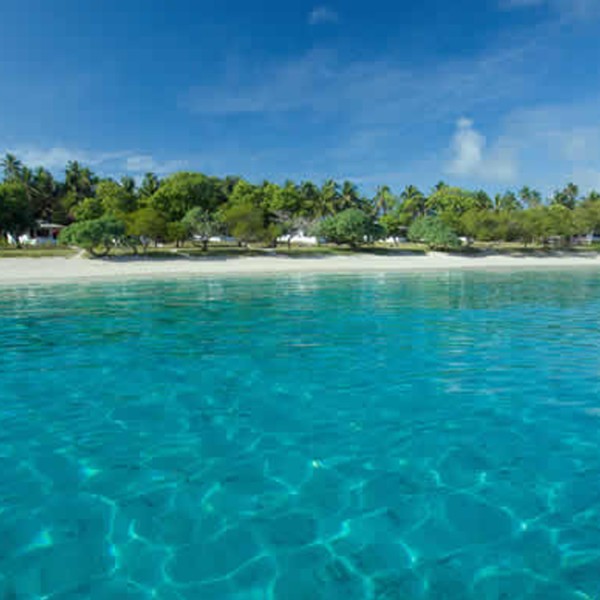 Tahtakale Toptancı Sabun Esansı Okyanus Kokulu 15 Cc