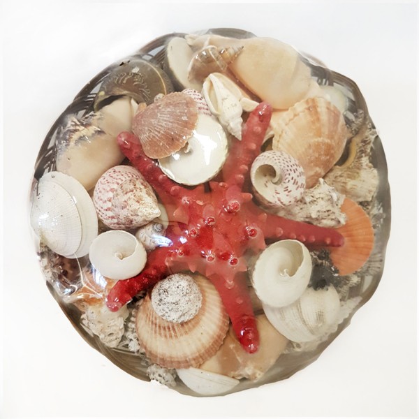 Tahtakale Toptancı Sepet İçi Kabuk -12